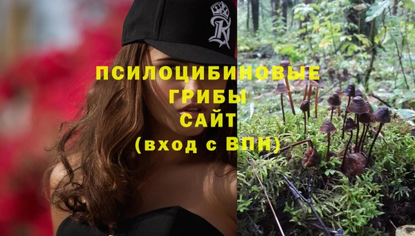 мяу мяу кристалл Липки