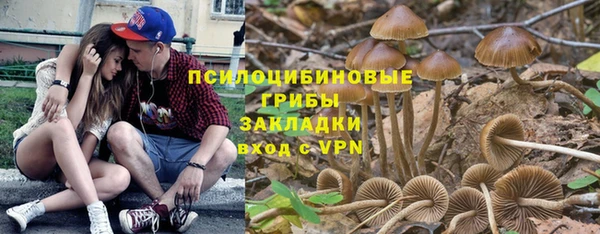 мяу мяу кристалл Липки