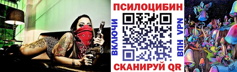 где найти   Шенкурск  Галлюциногенные грибы GOLDEN TEACHER 